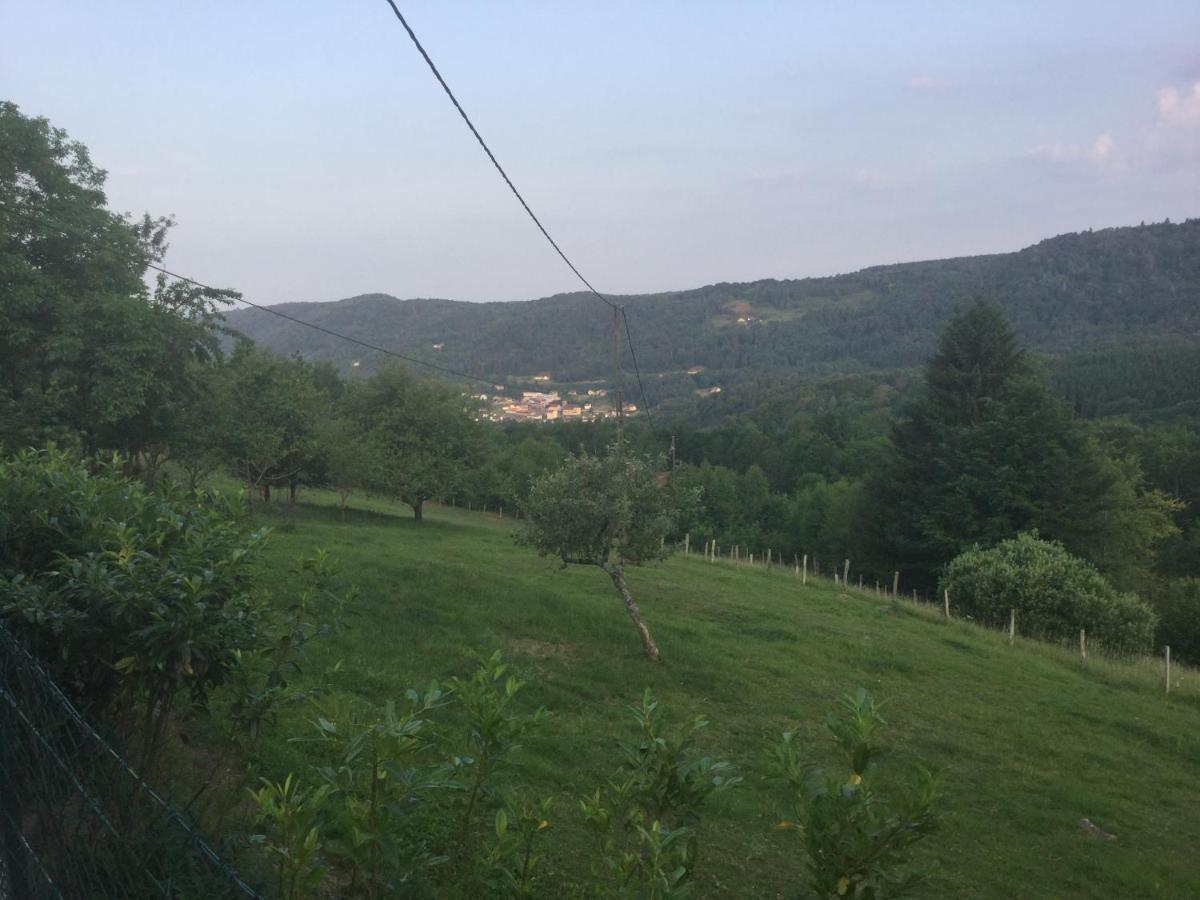 Le Haut-du-Them La Ferme De La-Haut B&B المظهر الخارجي الصورة